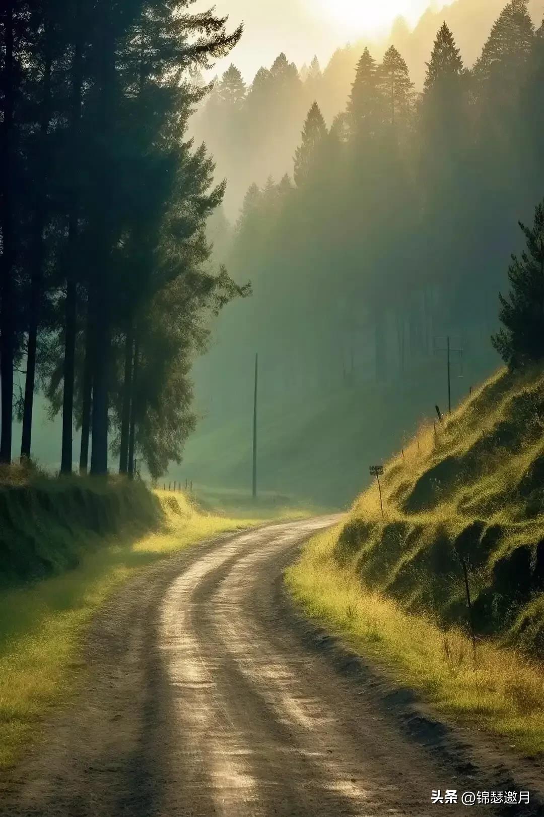 乡村田园风光图片,田园风光风景图片
