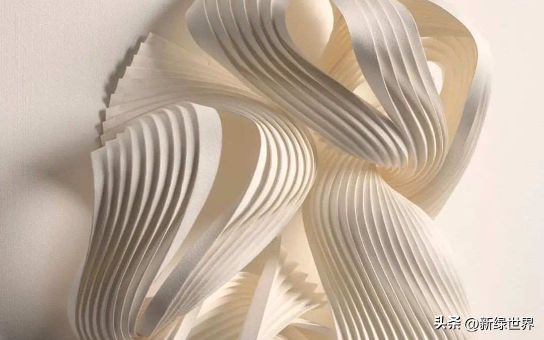 纸艺作品绘画,千变万化的纸艺术作品