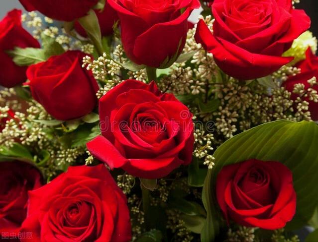 一花一世界一叶一花一菩提,春天来了一花一世界一叶一菩提