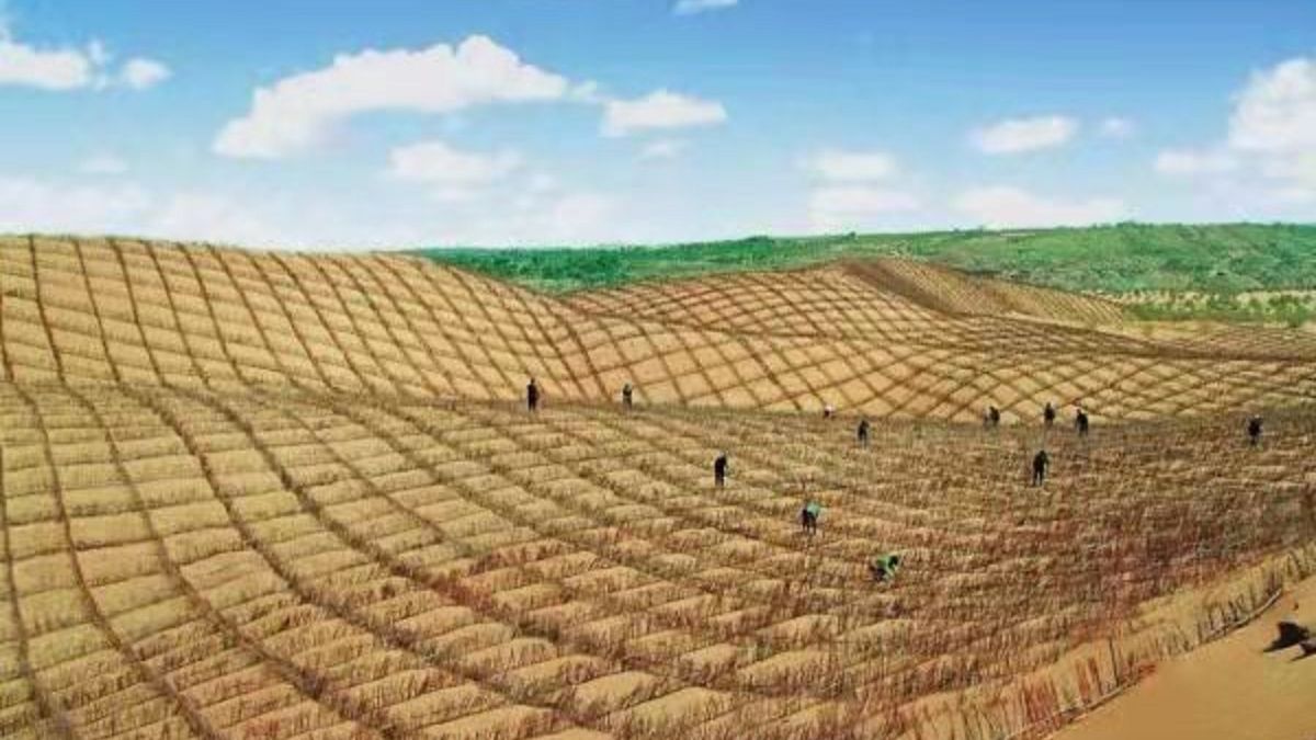 中国神奇胶水让沙漠变绿洲,中国科学家发明胶水沙子变土壤