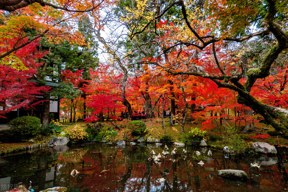 部编版九上语文目录,送东阳马生序原文