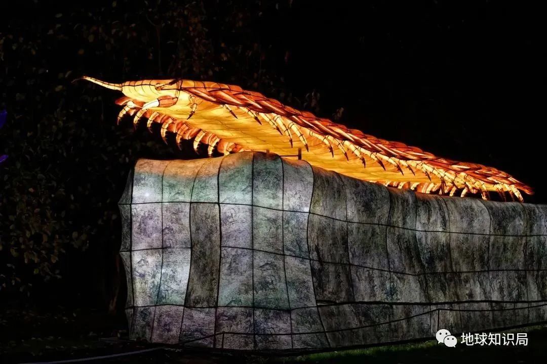 他们，做了一个违背祖宗的决定！|地球知识局