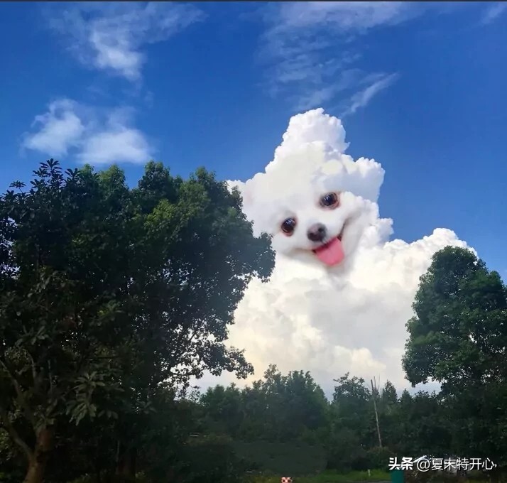 例会分享搞笑小故事及感悟,讲个幽默的小故事给大家听