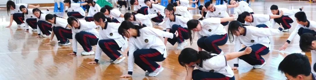 体育创新展示,体育特色课程开发与实施心得体会