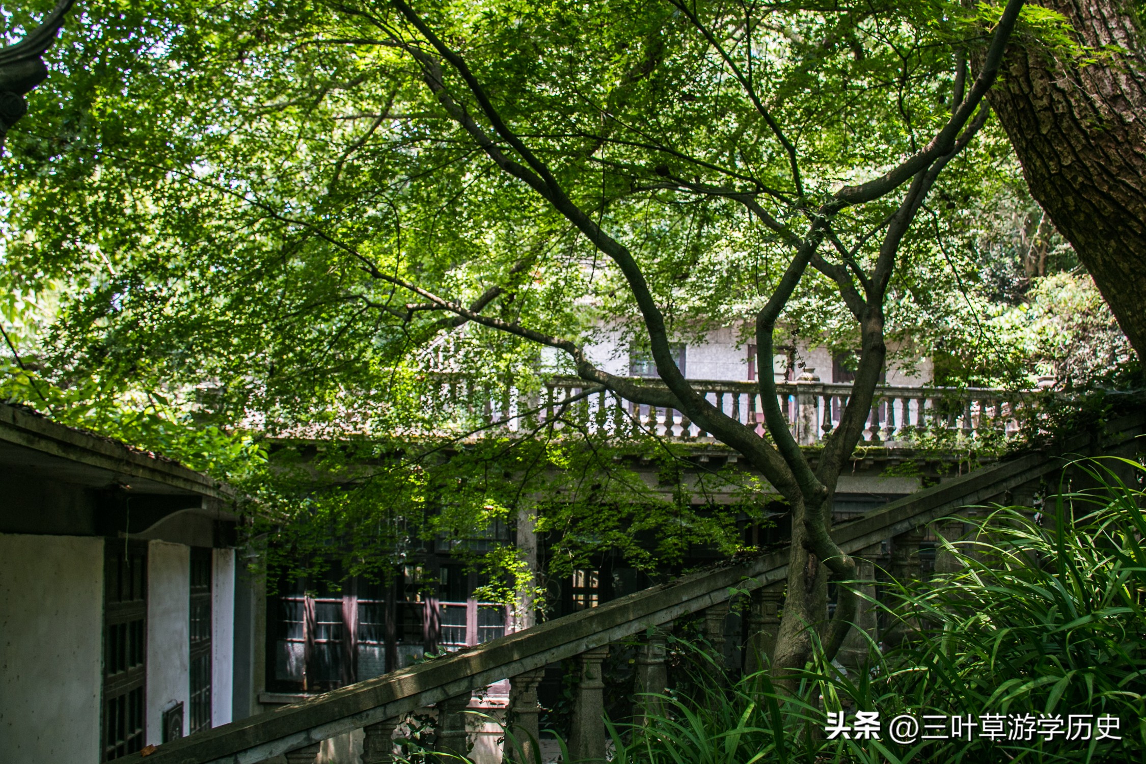 杭州西湖穗庐地址,杭州西湖湖景庭院