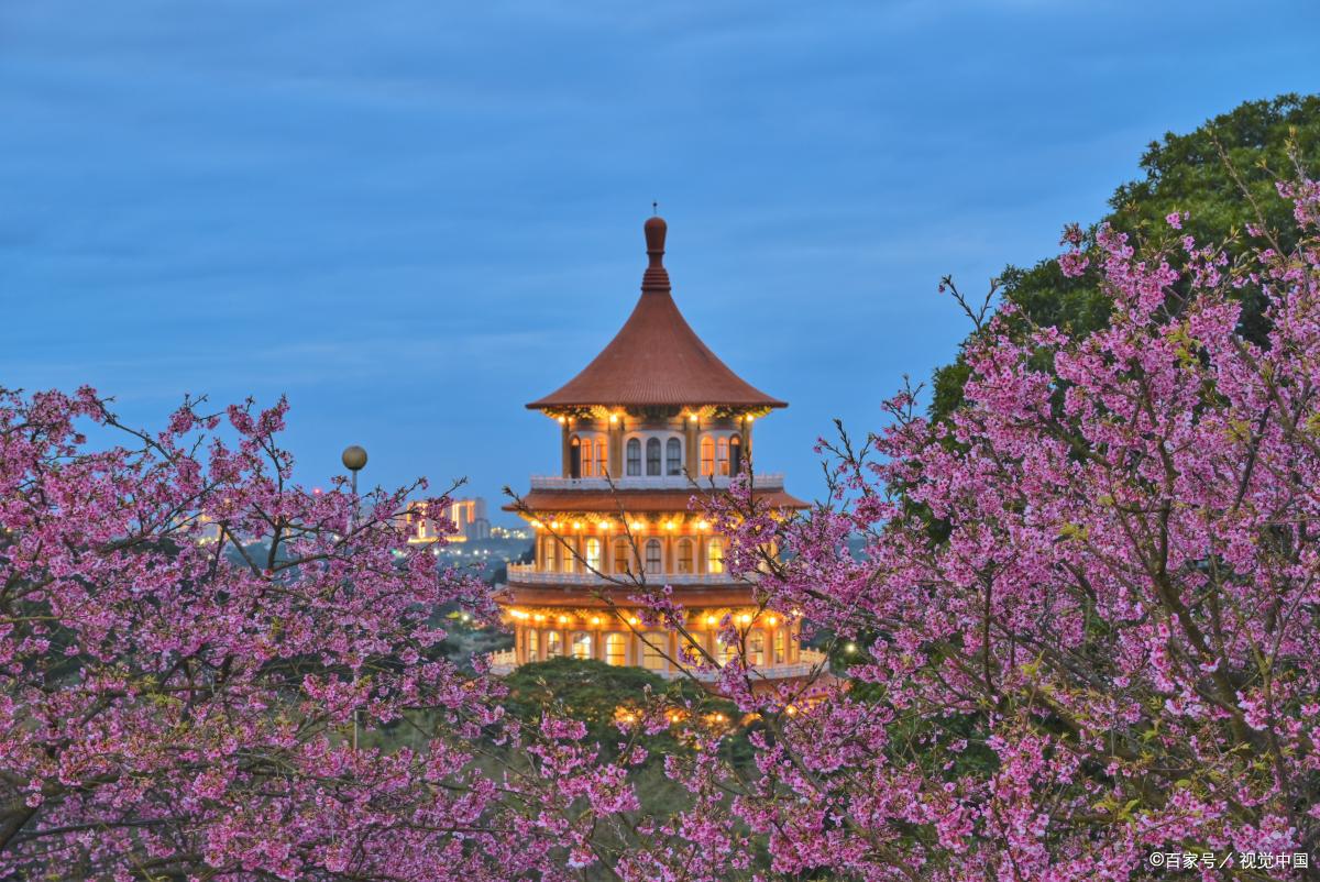 盘点春天必去的花海胜地,花间游风景