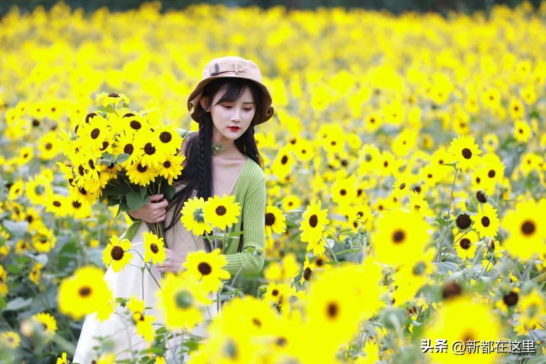 端午节来成都,成都端午节有什么讲究