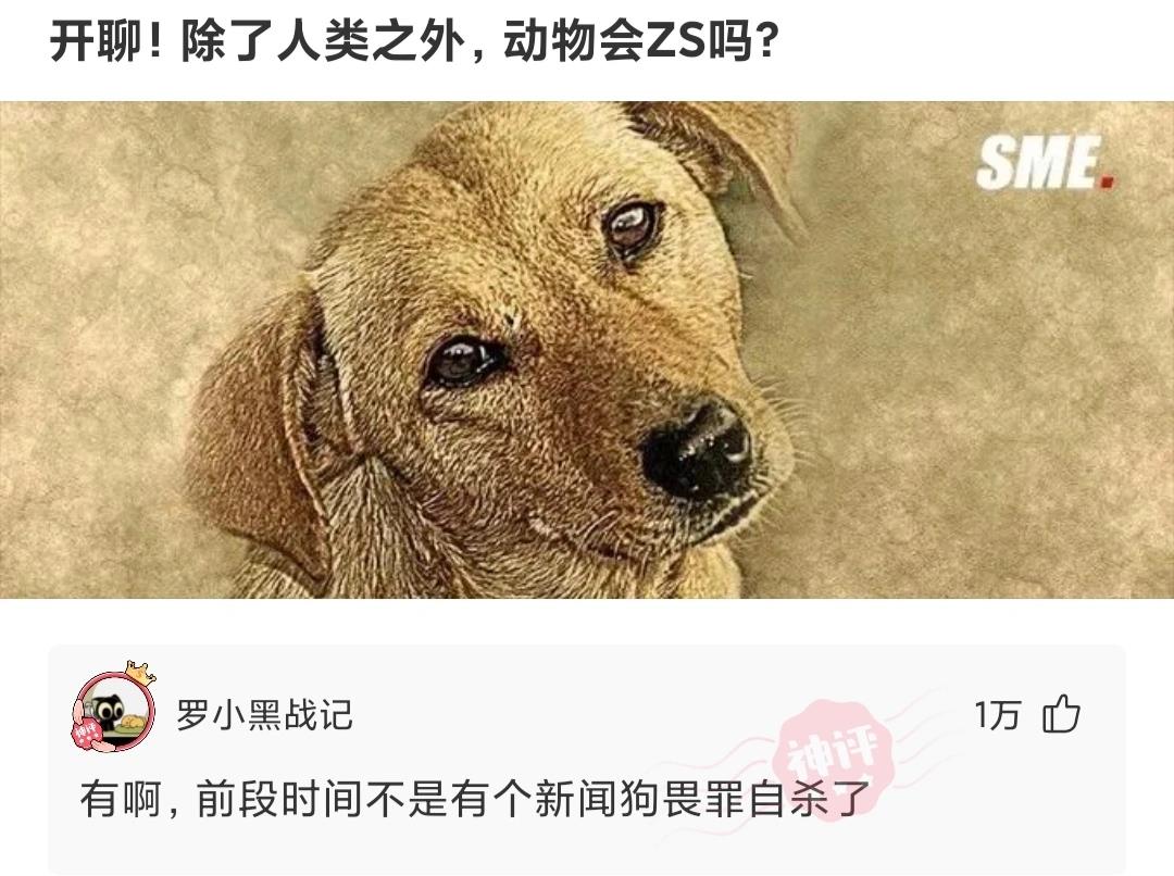 买了一个蚊帐先让室友试试,新买的蚊帐让室友先试试