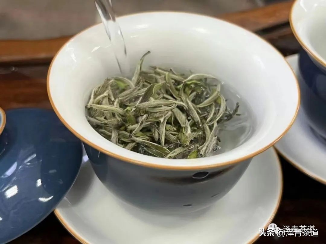 夏至蝉始鸣半夏生全文,夏至蝉始鸣半夏生什么意思