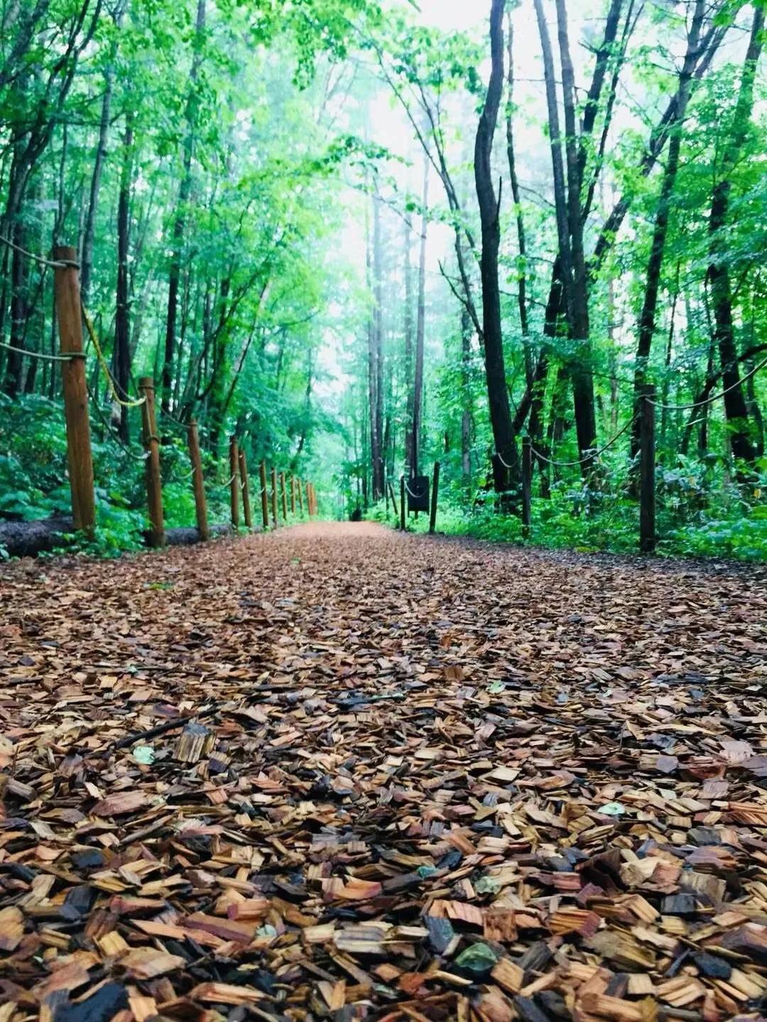 日本见闻,日本见闻记