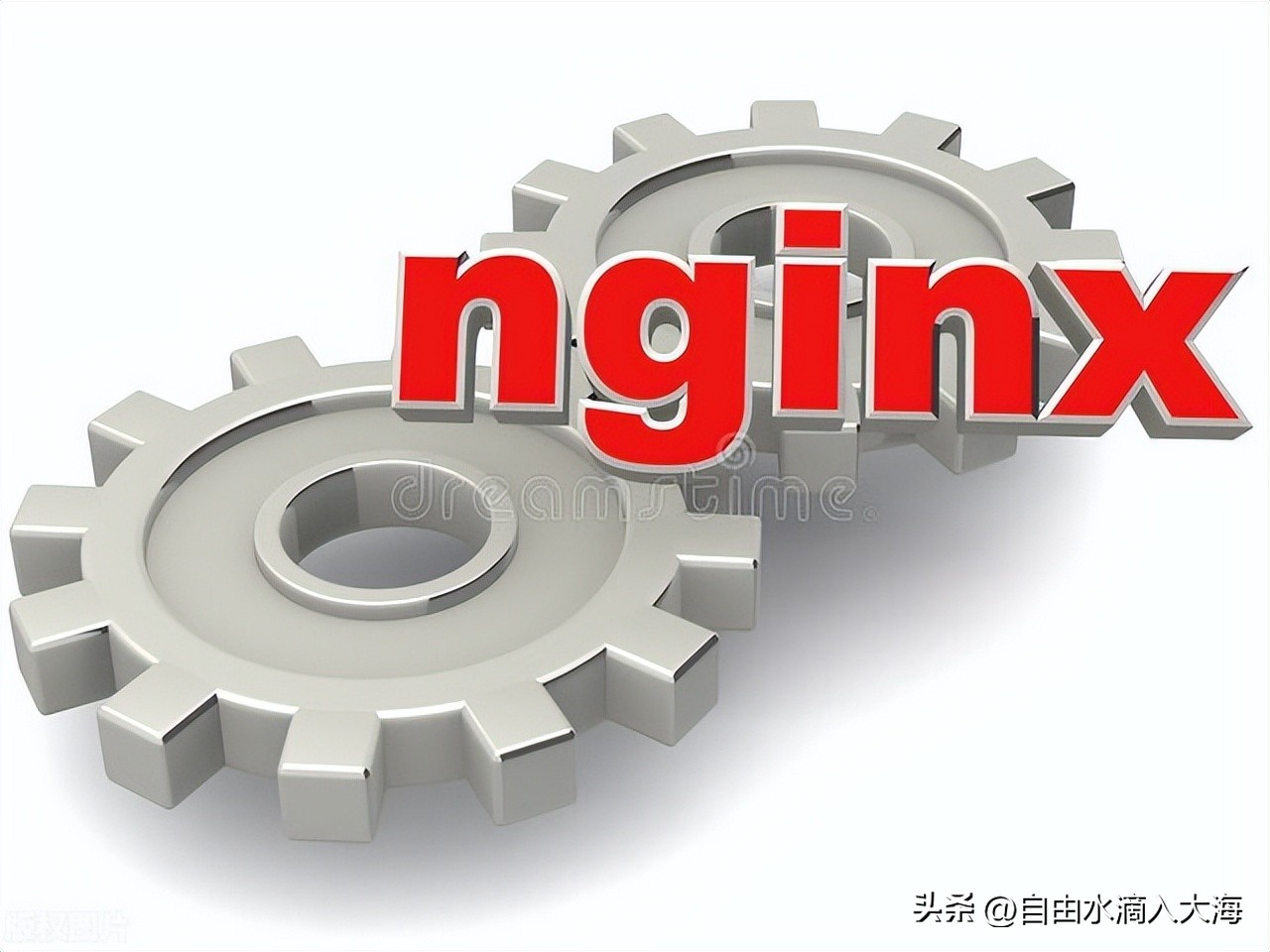 nginx401和502区别在哪儿,nginx的502是什么
