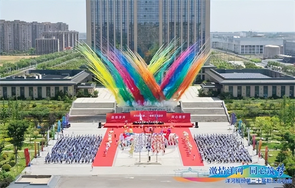 洋河股份在白酒行业中有什么劣势,洋河股份在白酒行业的地位