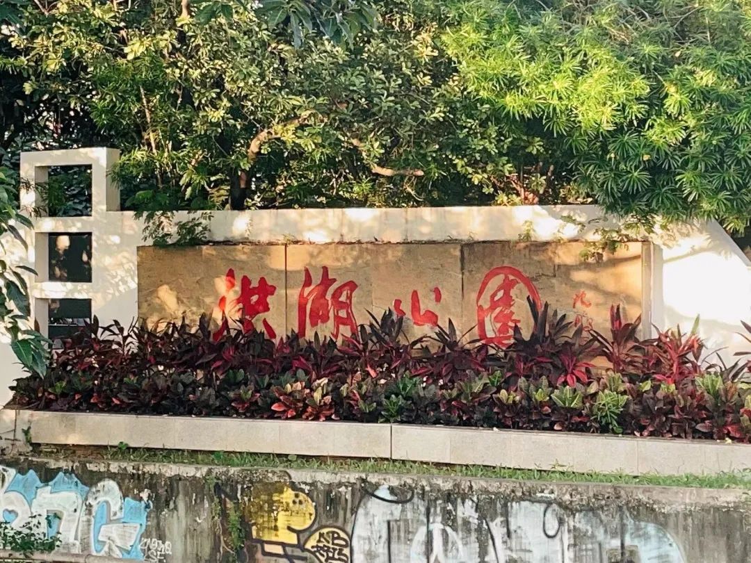 深圳十大最美公园旅游攻略,深圳免费公园景点值得打卡的地方