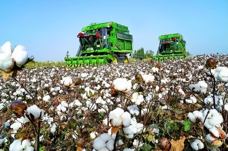 告诉你一个真实的大连,告诉你一个真实的阿根廷