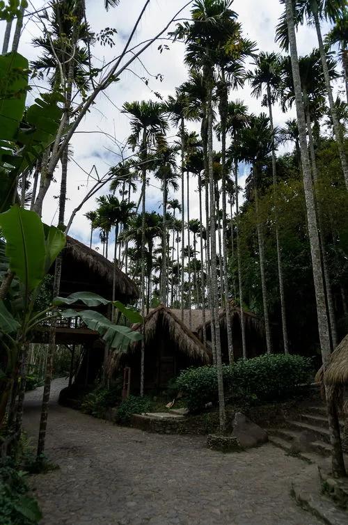 最美海南五天四晚畅游海岛,海南海岛旅行攻略