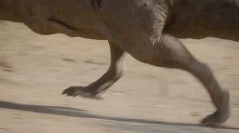 9.3涨到9.5，大神一出手，全网高潮！