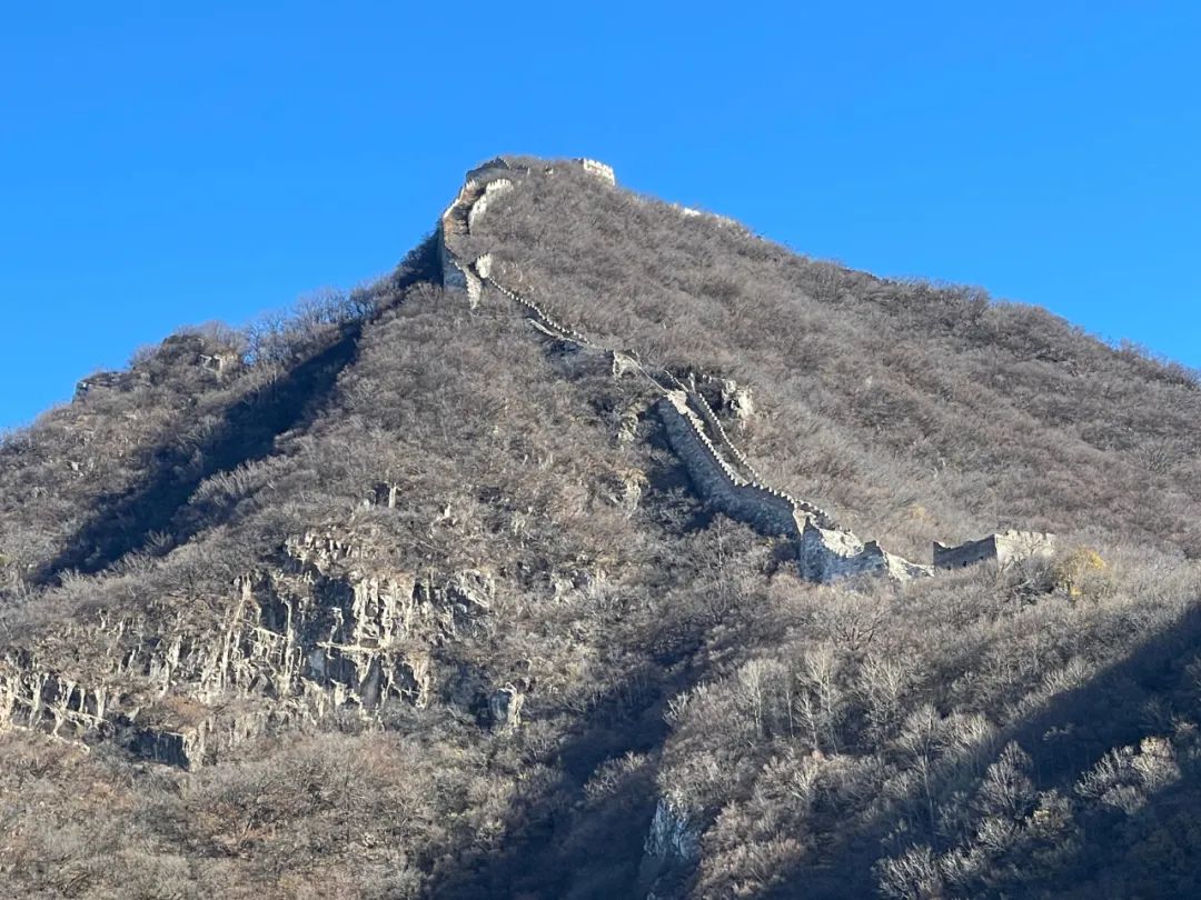 运料全靠骡驮人背！修缮长城到底多难，小编全程跟拍→