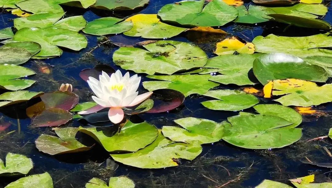 遇见20岁的男孩,遇见20年前的人