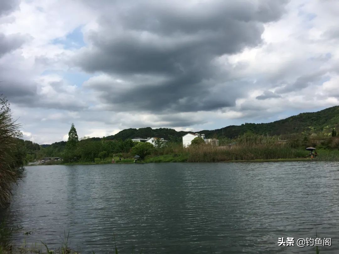 野钓怎么避过小白条,野钓怎么避开水面调漂