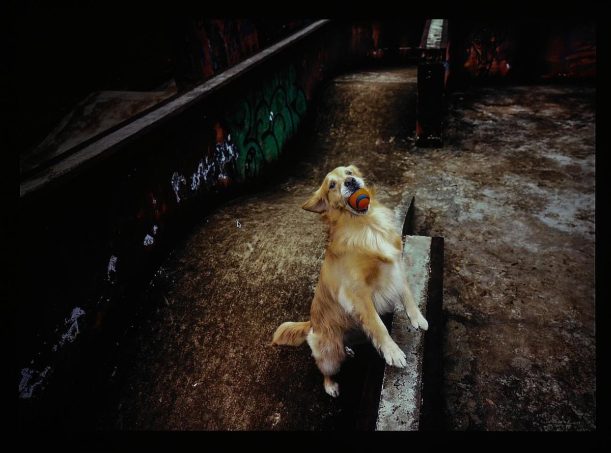 明基e540投影仪效果质量如何,明基e520智能商务投影仪