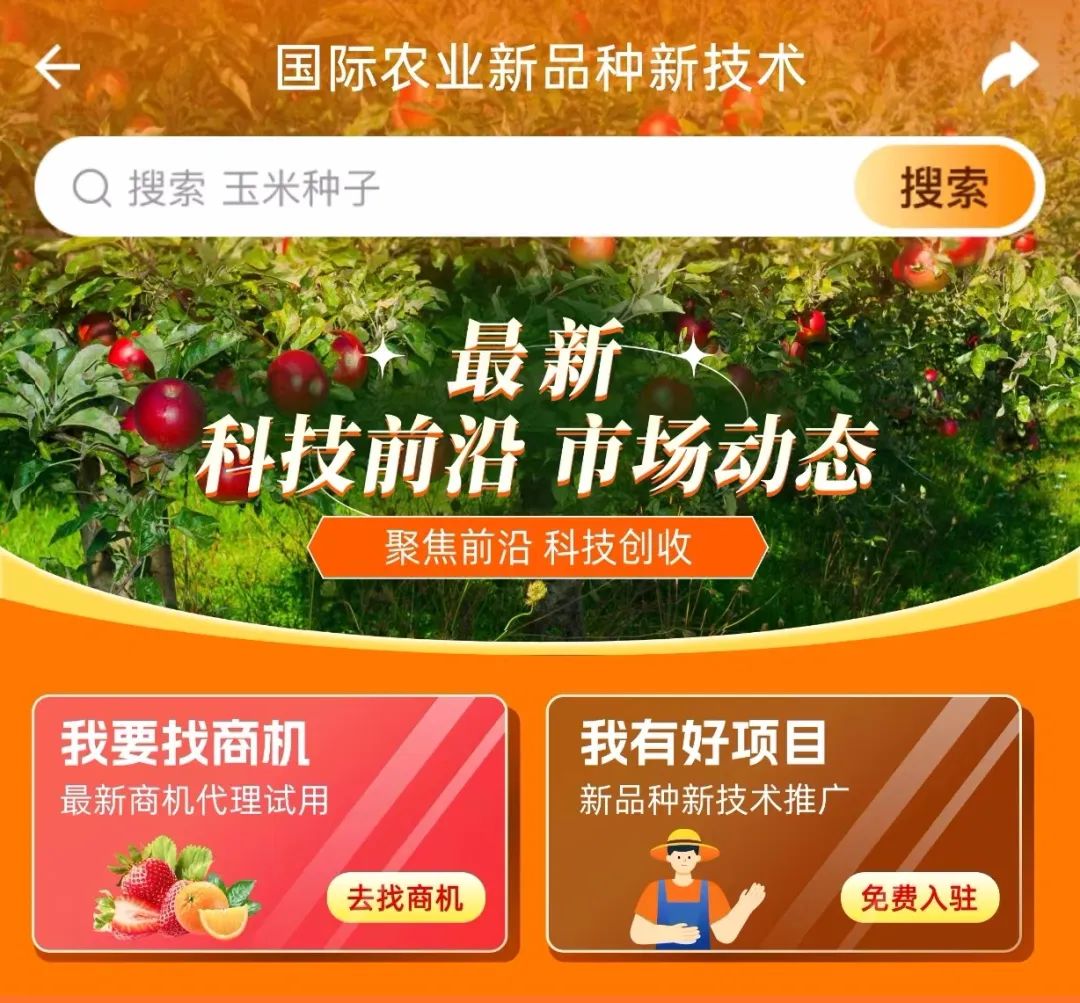 红宝石桃子的批发价格,早熟桃子售价