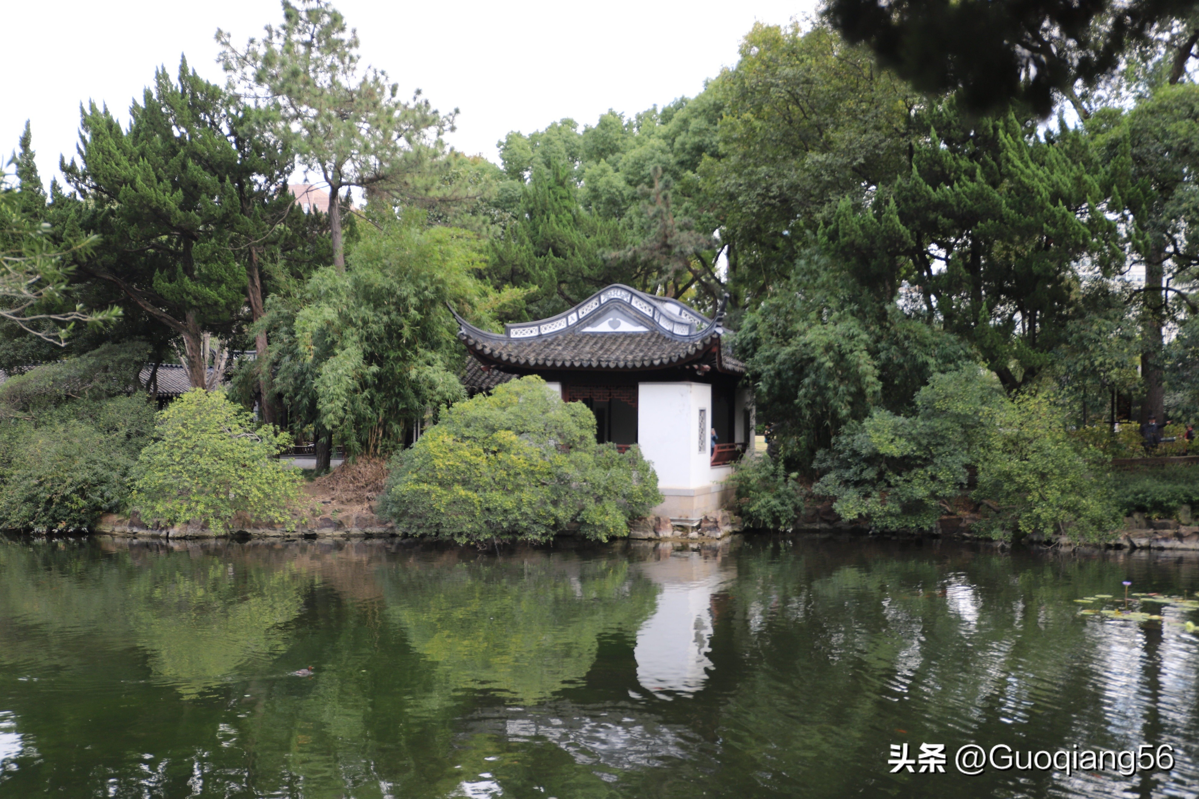 上海动物园门票老年人免费,上海双休日老年人最多的公园在哪