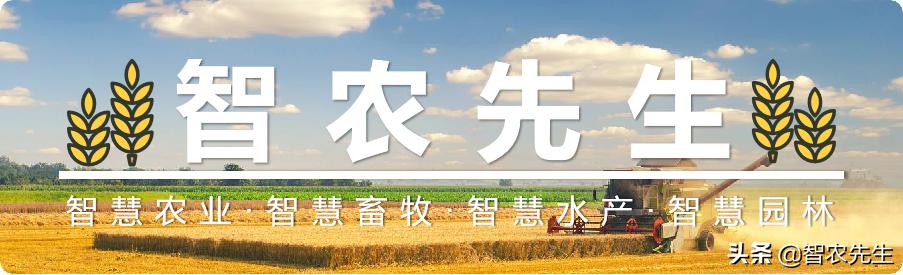 蔬菜种植提高效率的工具,作物种植好帮手