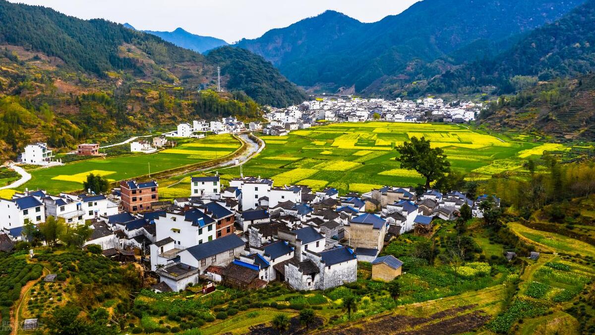 农村新农合养老在哪缴费,2020年农村新农合养老保险交多少