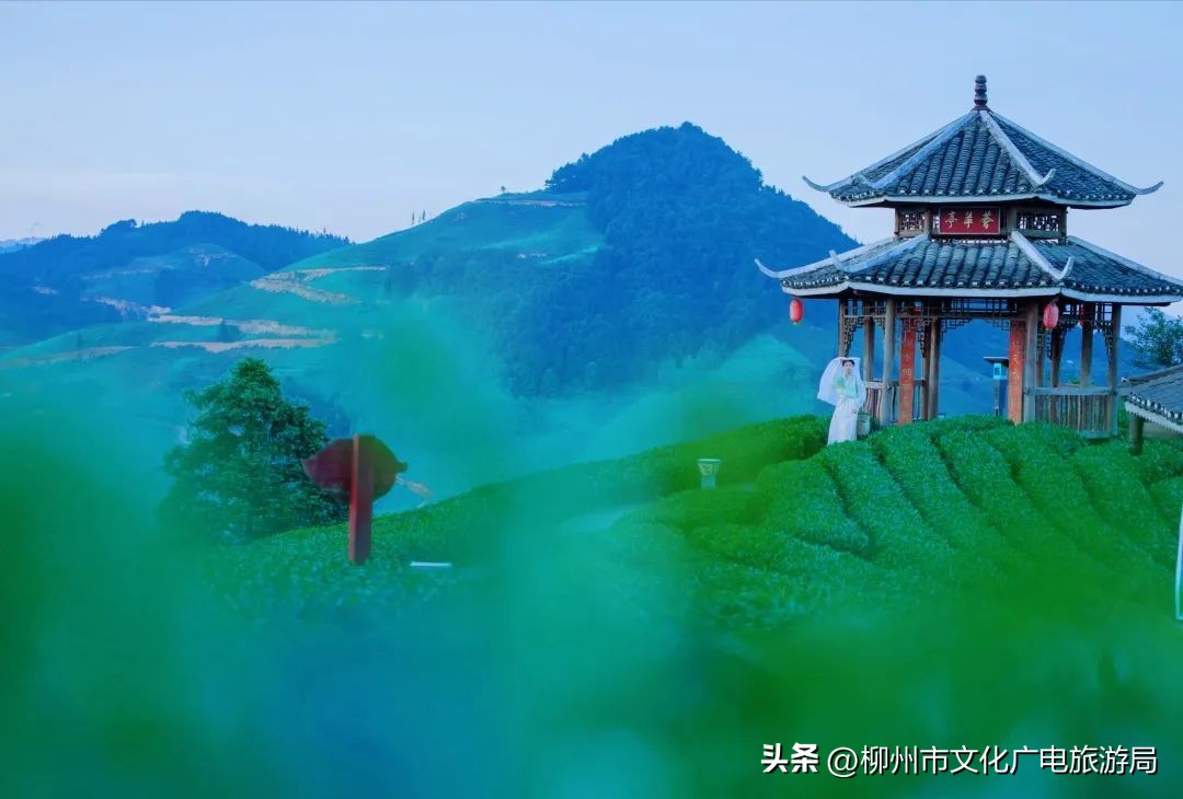 广西柳州三江县万怡酒店何时开业,柳州四星级以上酒店排名