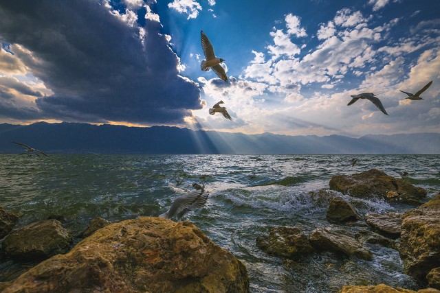 云南旅游推荐的普洱茶,普洱茶云南之旅
