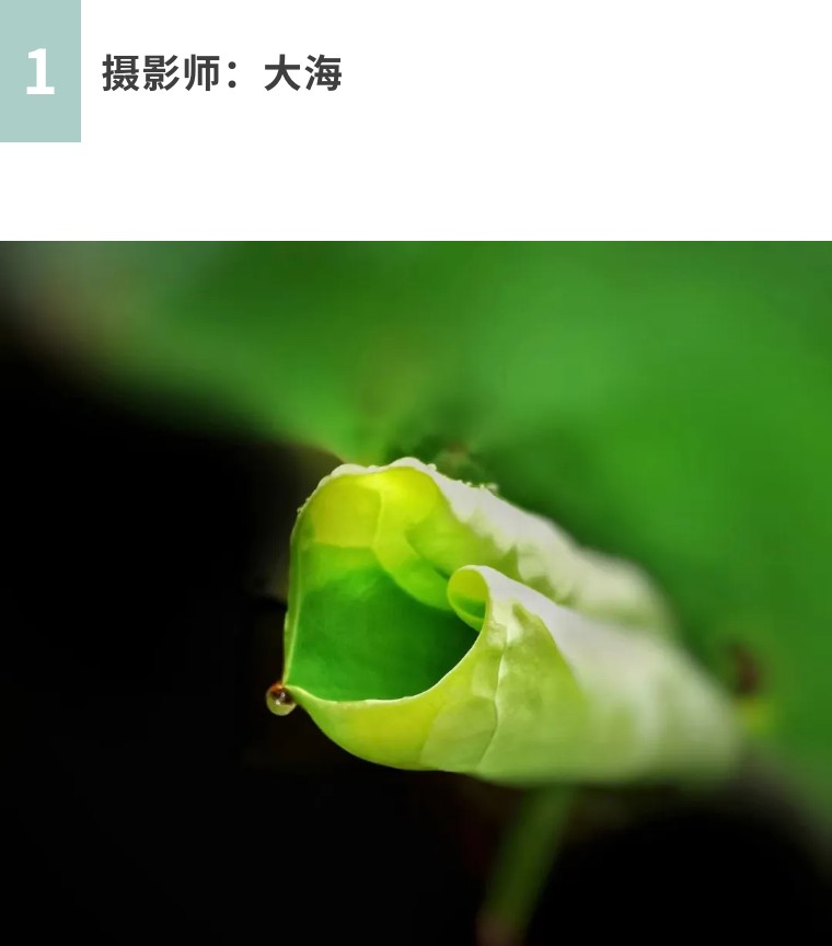 秋天怎么拍出好看的照片,秋天怎么拍出最好的照片