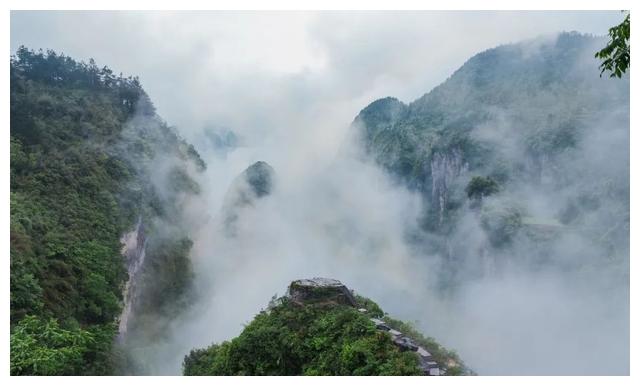 葡萄酒该如何选,长城五星葡萄酒怎么选