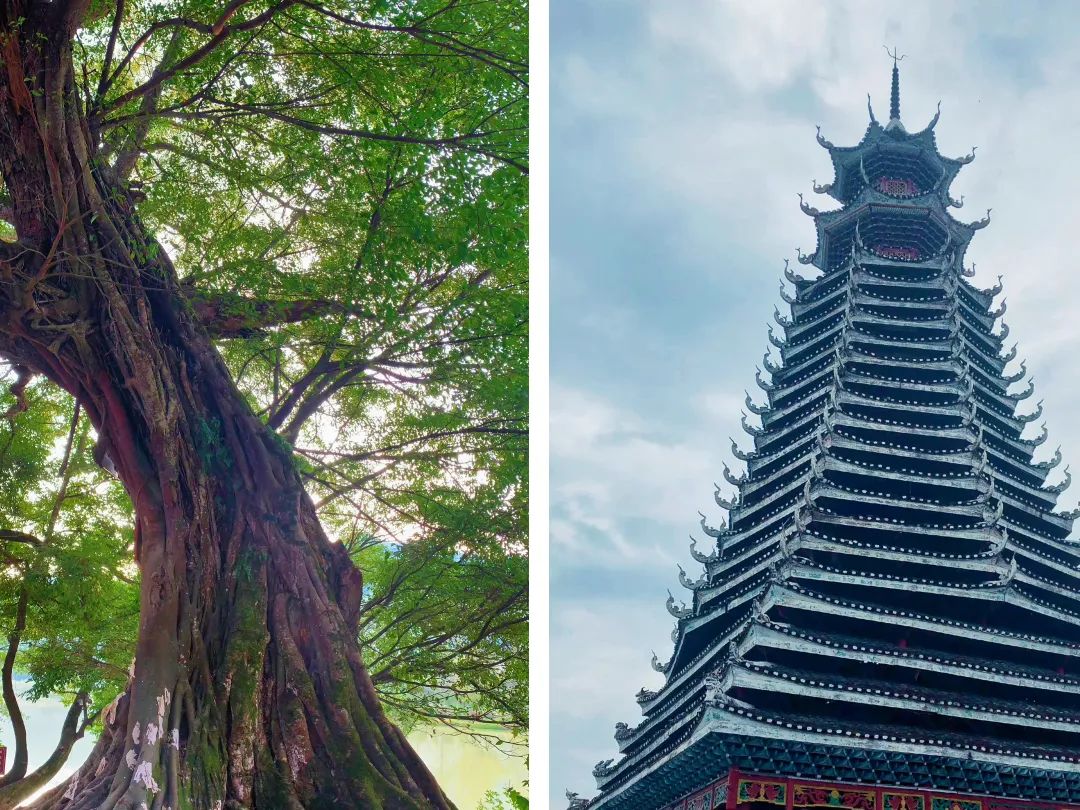 贵州村超在哪里看回放,贵州看村超联赛旅游