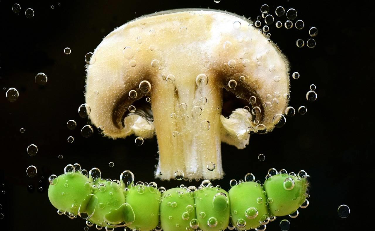 焯水是用冷水还是热水,焯水应该用冷水还是热水