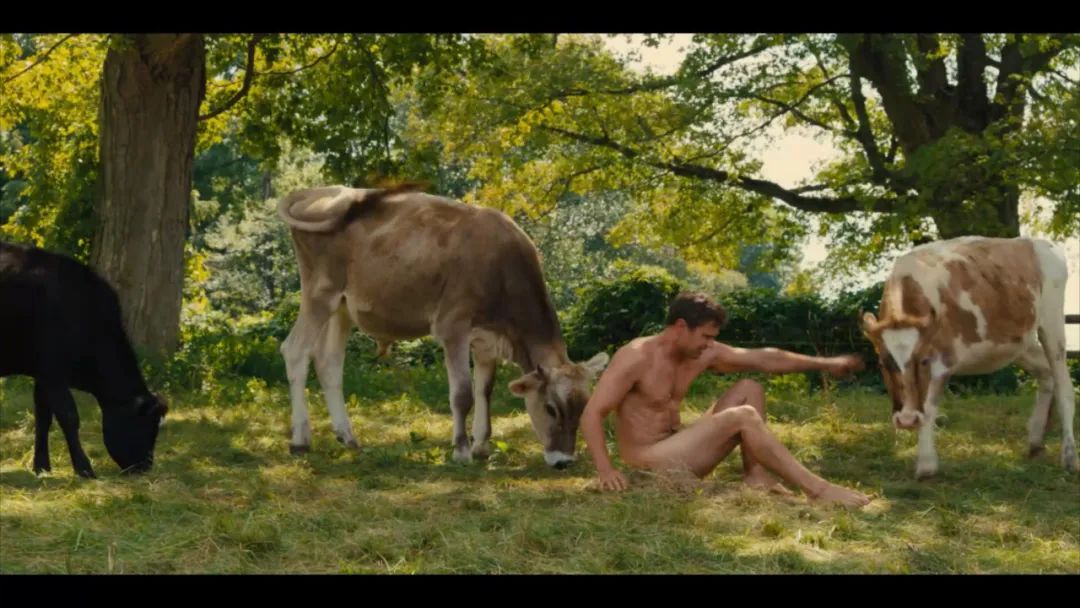 第一集就10场裸戏，结果全是差评？