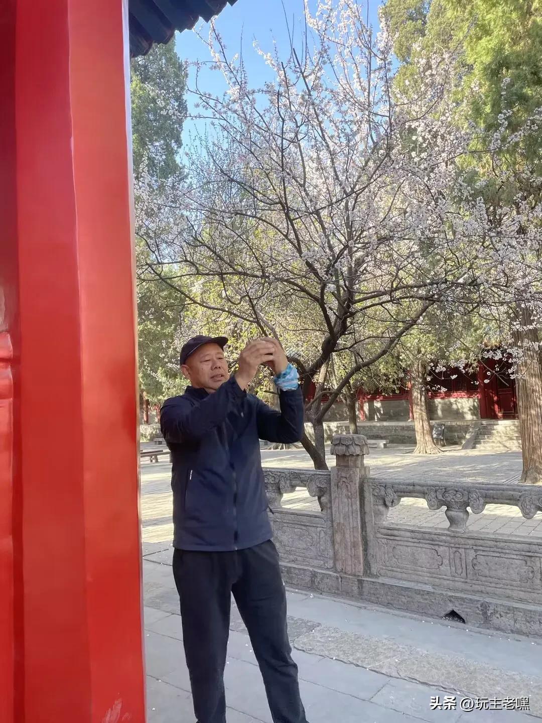 曲阜孔庙三孔介绍,曲阜三孔圣迹