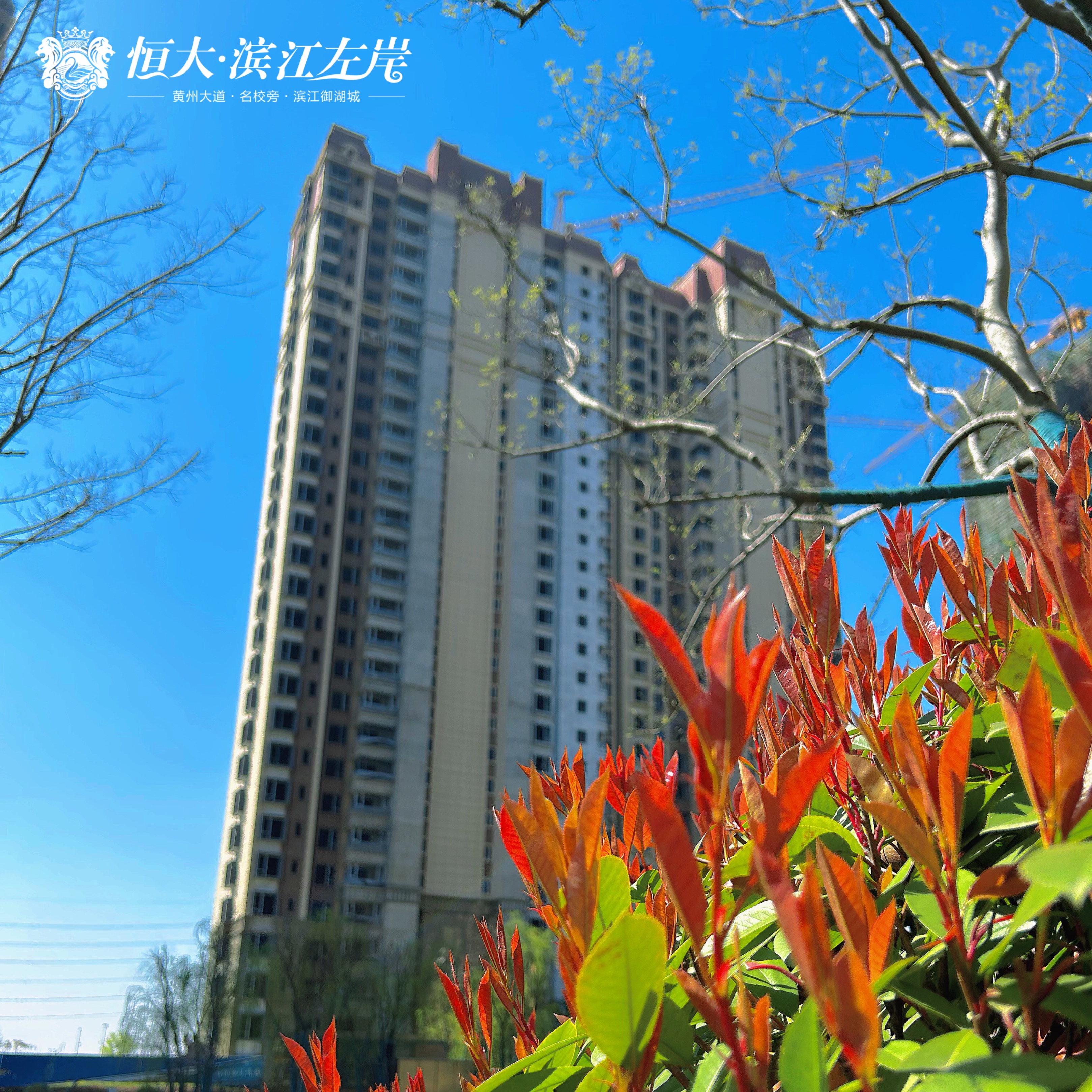 景观大数据时代,大数据与智慧园林