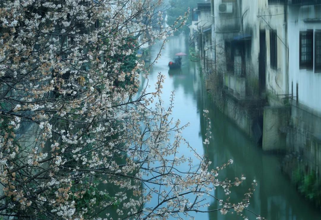 在浙江生活优点缺点,生活在浙江到底是什么样的体验