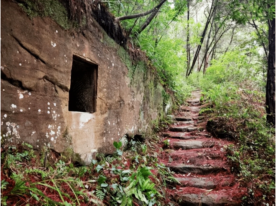 营山县任颖辉,营山任颖辉