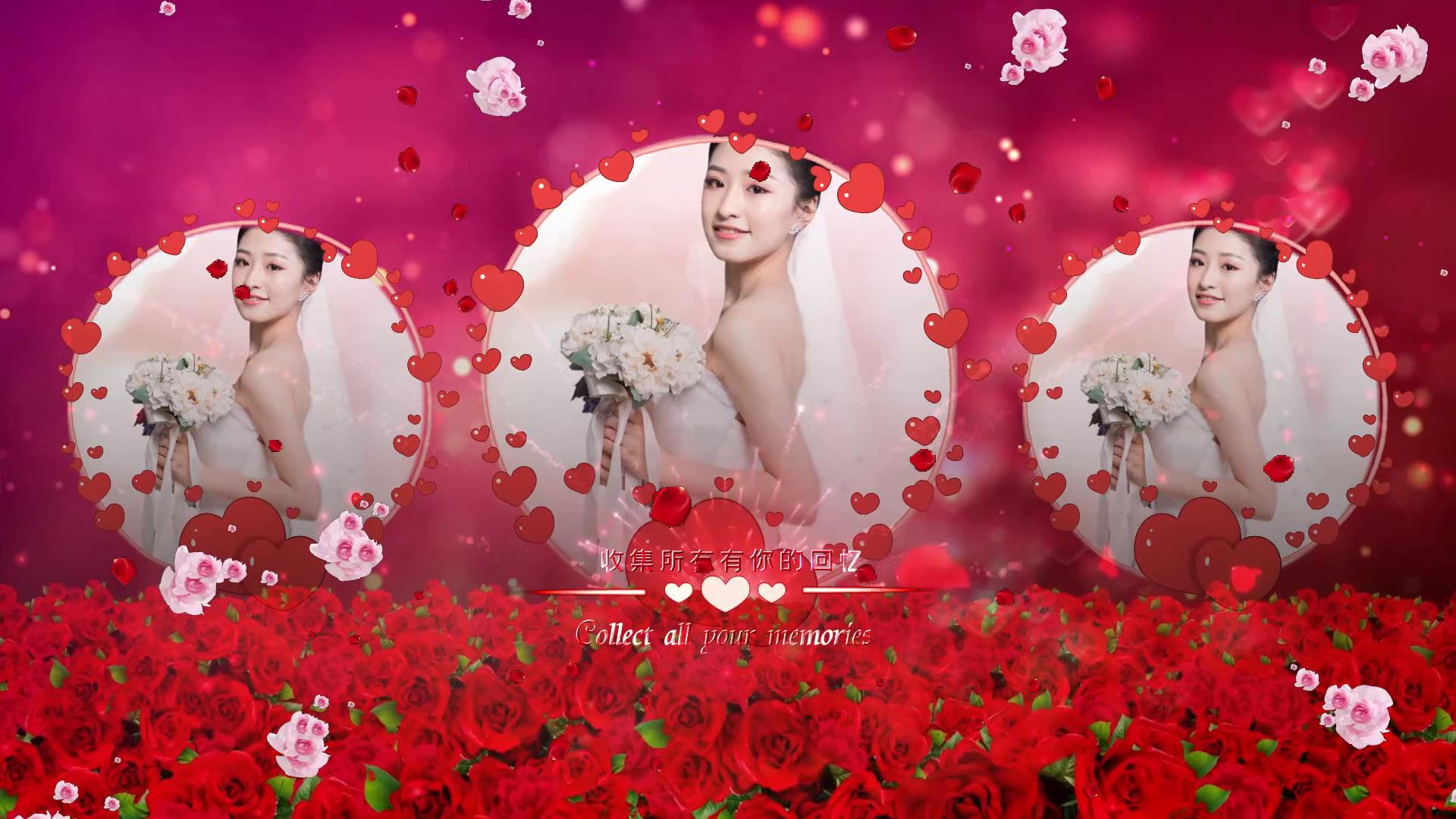 ae会声会影模板,aepr图片素材