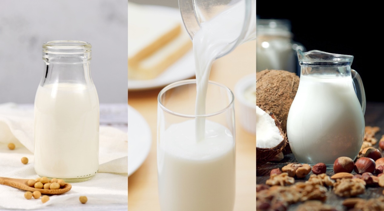 卷出新高度是违禁词吗,东方素养的肽素乳到底有没有效果