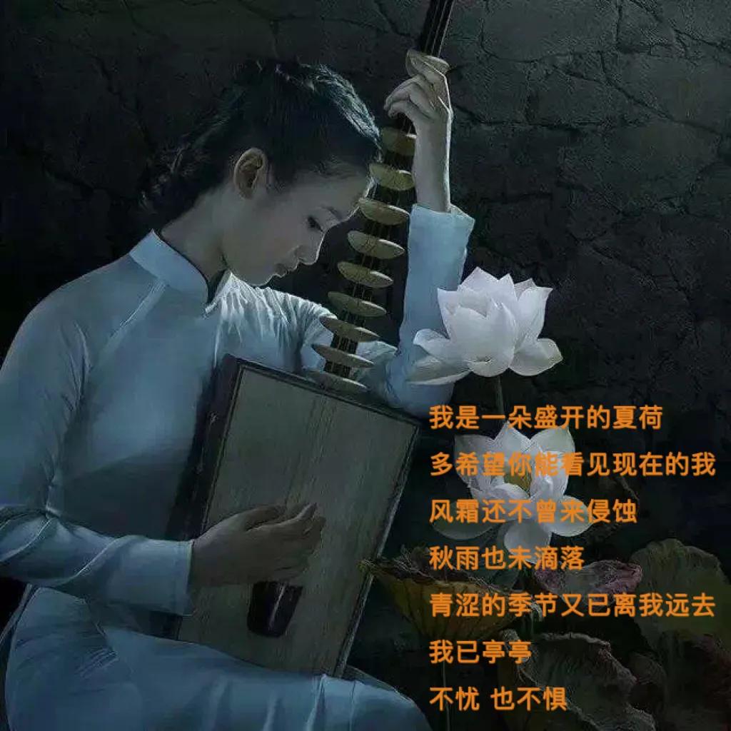 越南奥黛旗袍的款式,越南奥黛旗袍有哪些款式