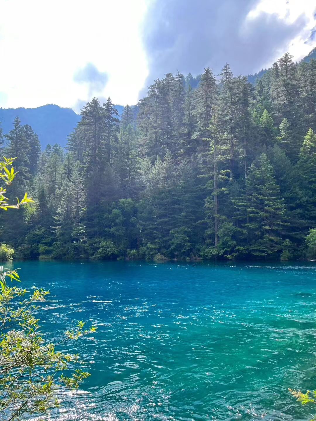 九寨沟童话仙境四日游,九寨沟童话路