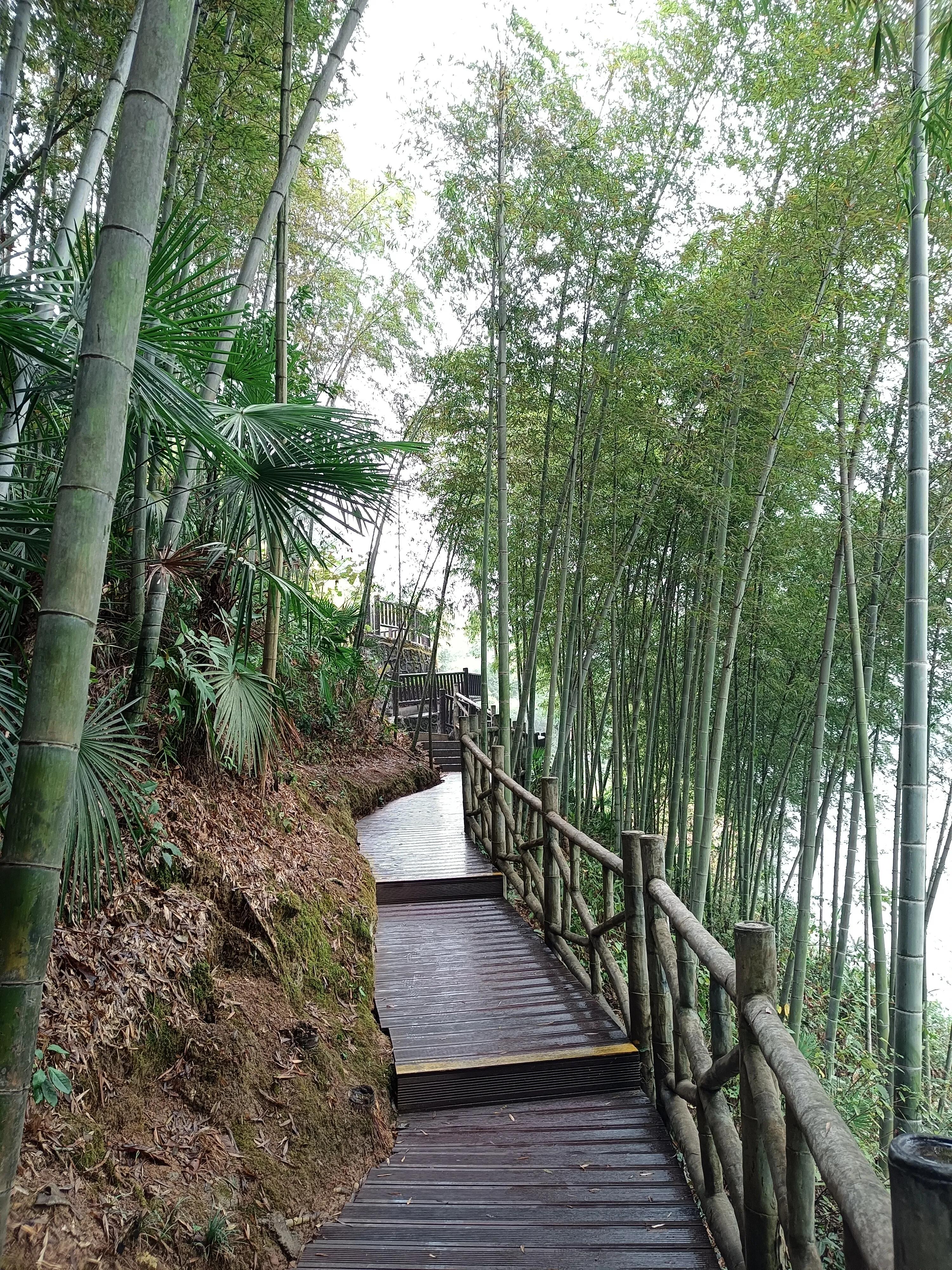 平凡的生活心里一定要有风景,平凡人的快乐人生