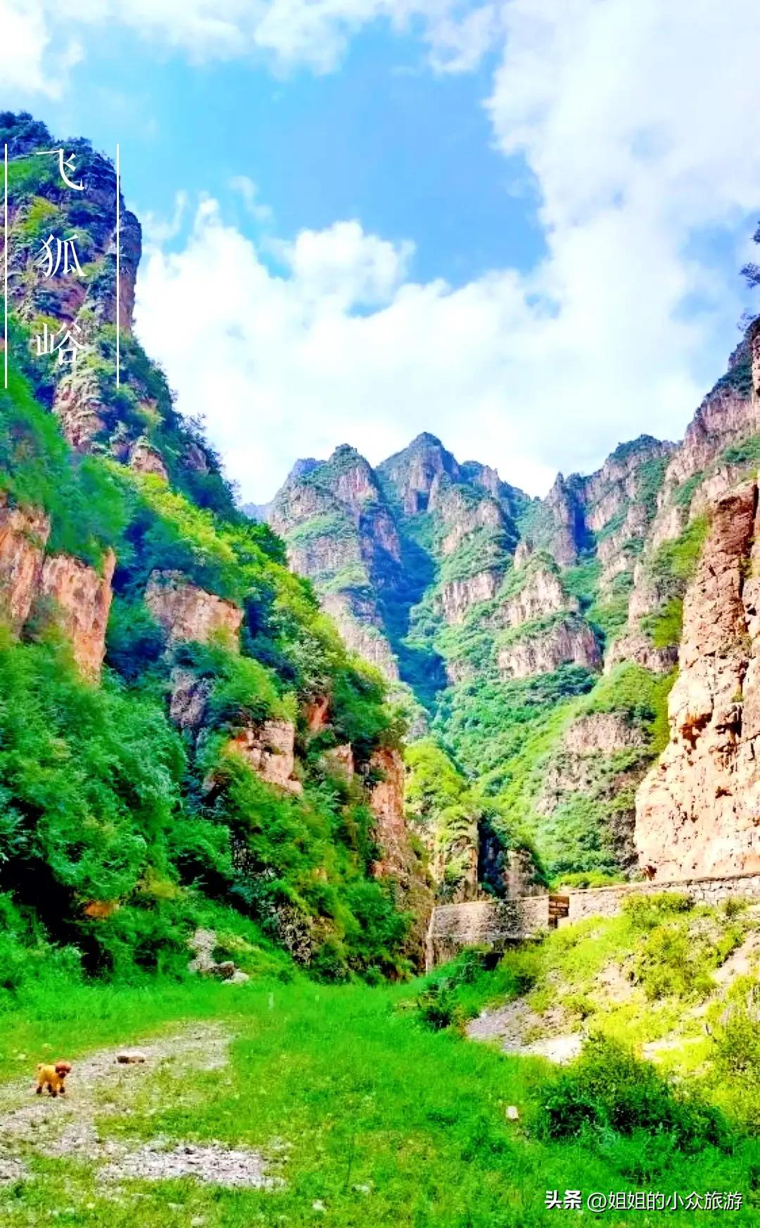 藏在深山无人知的图片,藏在深山无人知视频