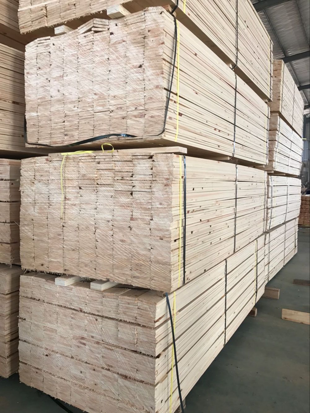 日本桧木和台湾桧木有什么区别？哪个质量更好？