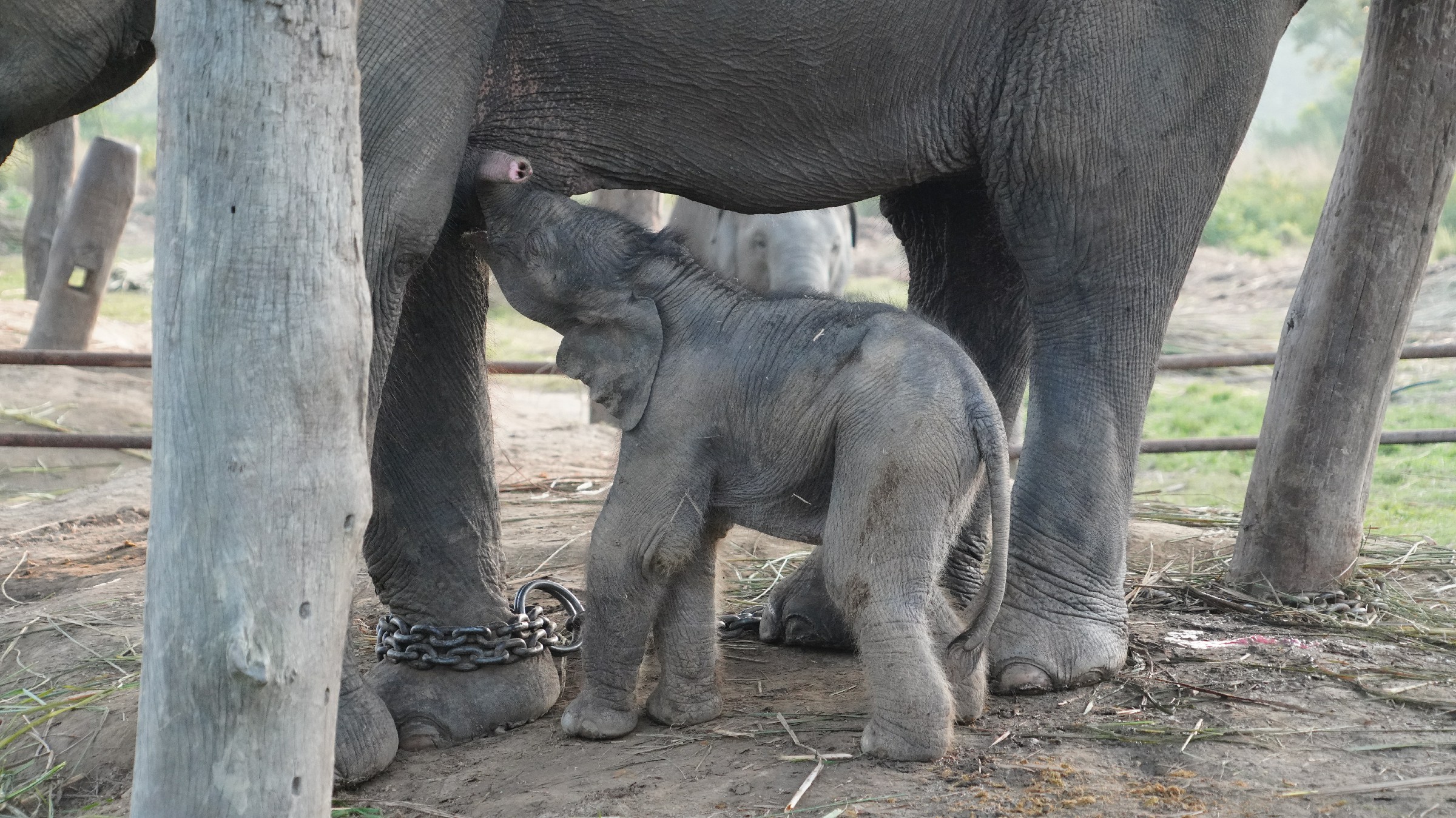 云中鹤游学,云中鹤户外