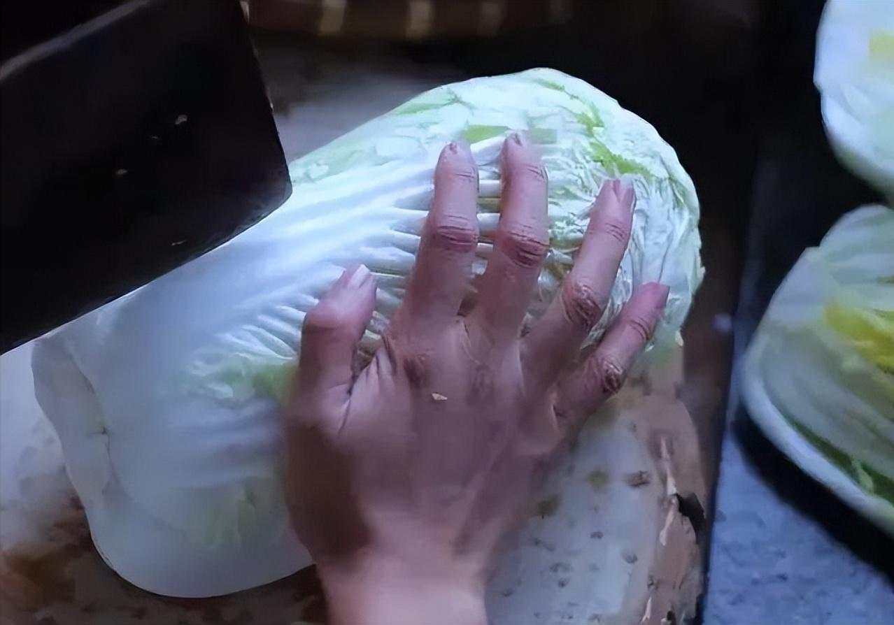 李子柒怎么会有那么大的院子,李子柒隐居山林度过惬意时光