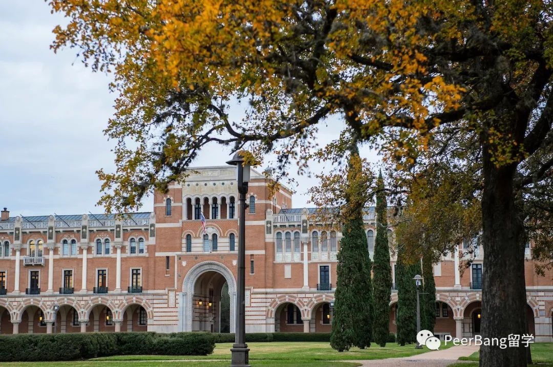 美国top50大学国际生录取率,哈佛国际生