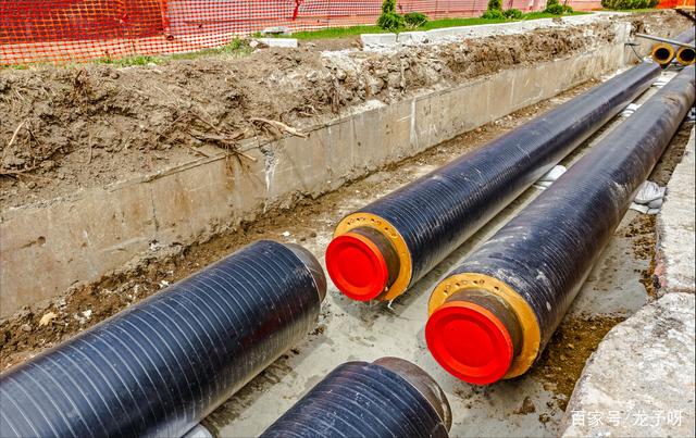 中国股市十大龙头企业,中国股市十大未来潜力公司